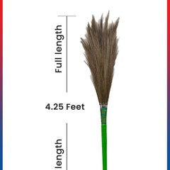 MR.CLINIC BROOM TRISHUL